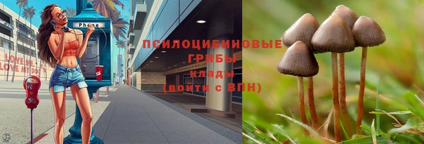 ешки Горно-Алтайск