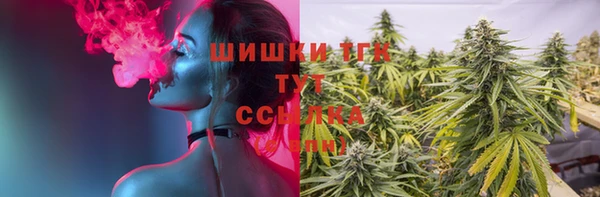apvp Горнозаводск