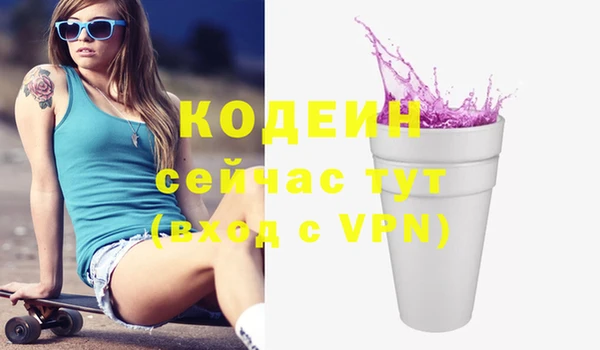 apvp Горнозаводск