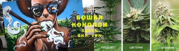 ALPHA-PVP Горняк