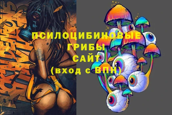 ешки Горно-Алтайск