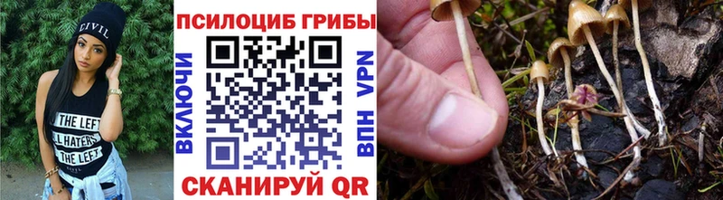 MEGA как войти  Яранск  Псилоцибиновые грибы прущие грибы 